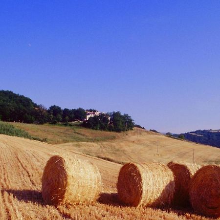 Agriturismo Il Fienile Di Ca Battista Apartman Cagli Kültér fotó