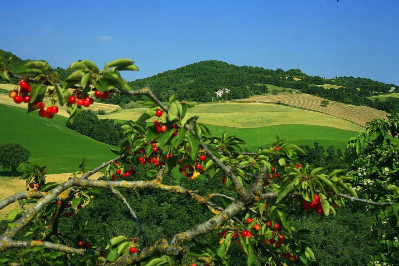 Agriturismo Il Fienile Di Ca Battista Apartman Cagli Kültér fotó