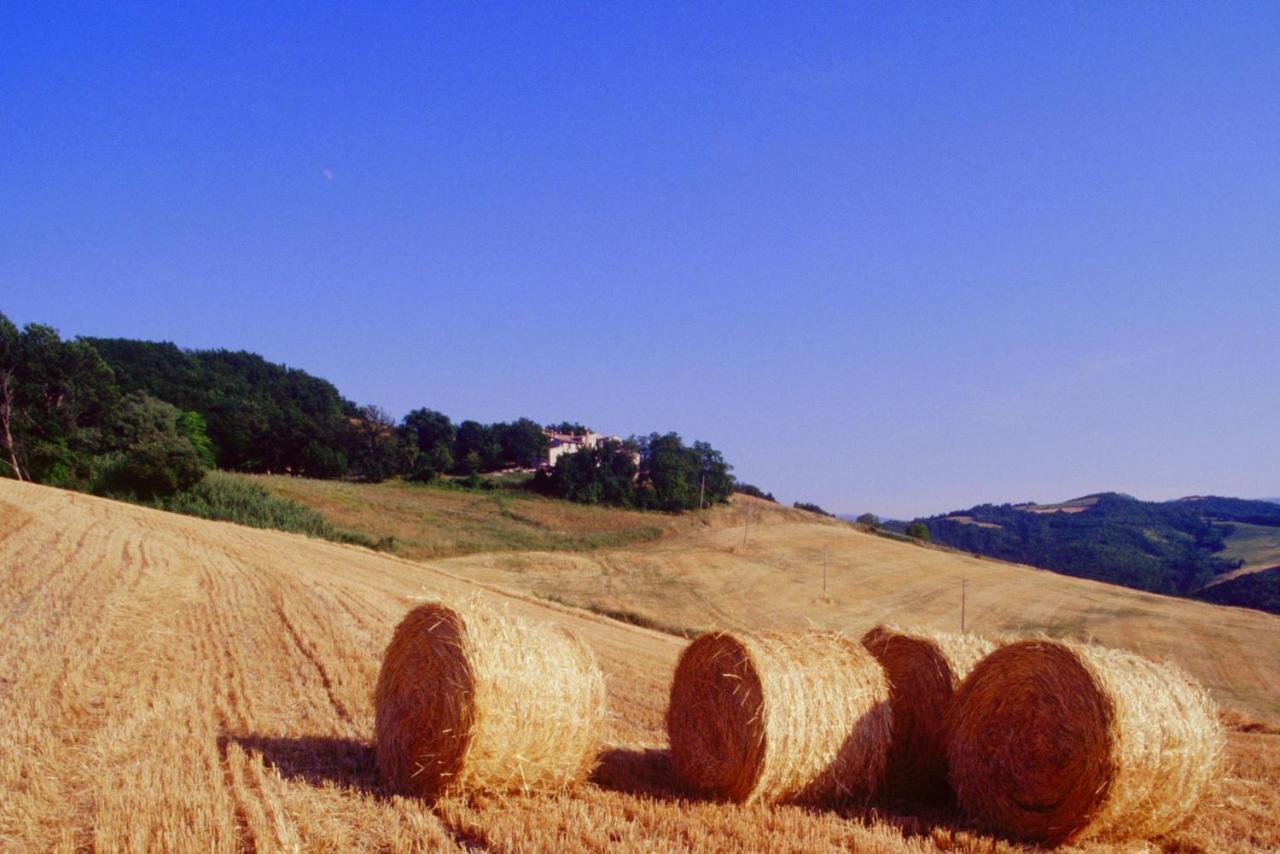 Agriturismo Il Fienile Di Ca Battista Apartman Cagli Kültér fotó